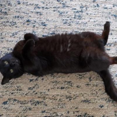 Babou