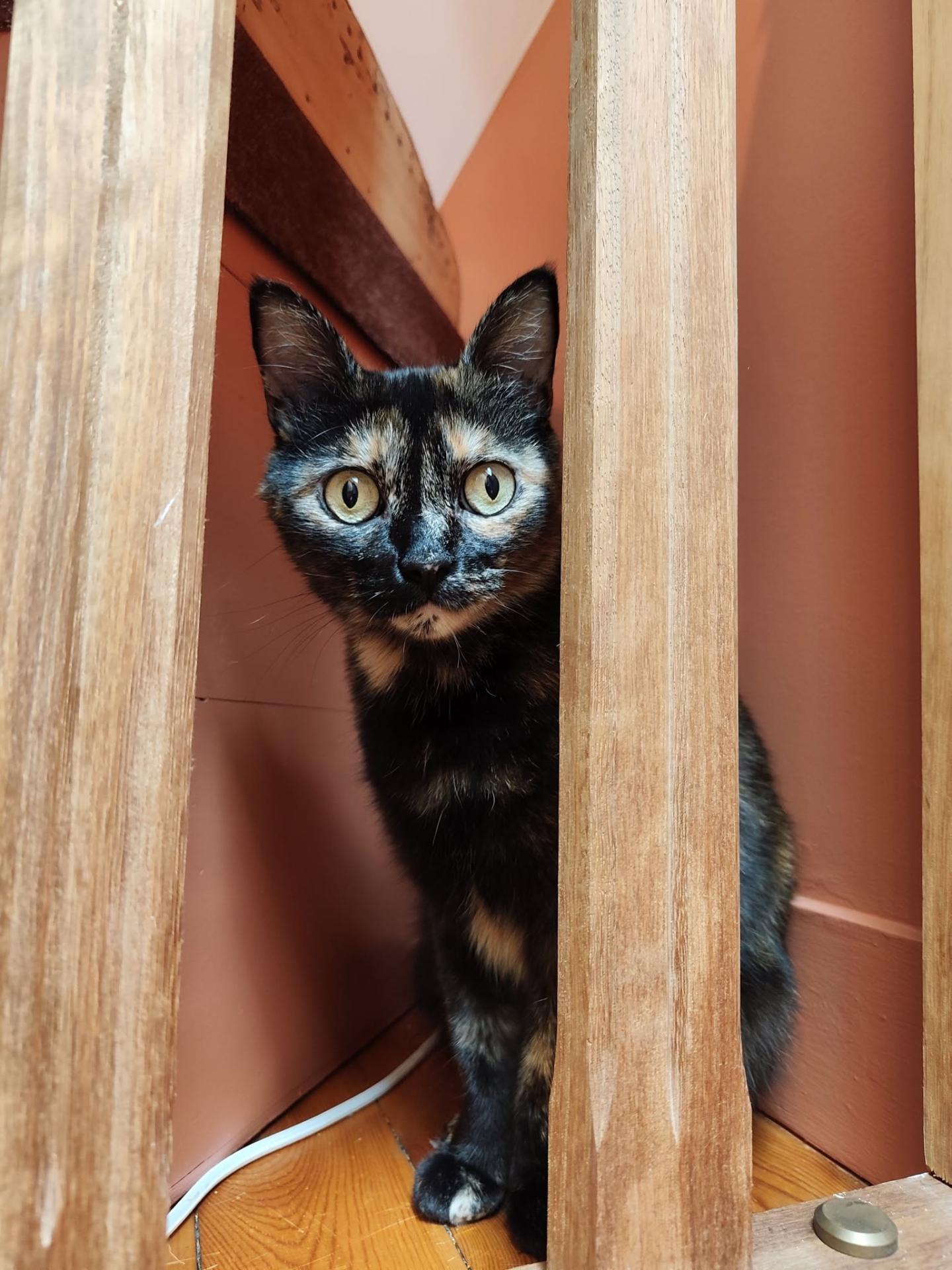 Rita3